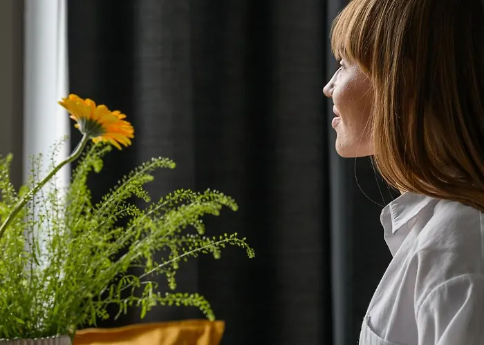 Flatbook - Modern Granaria Ii